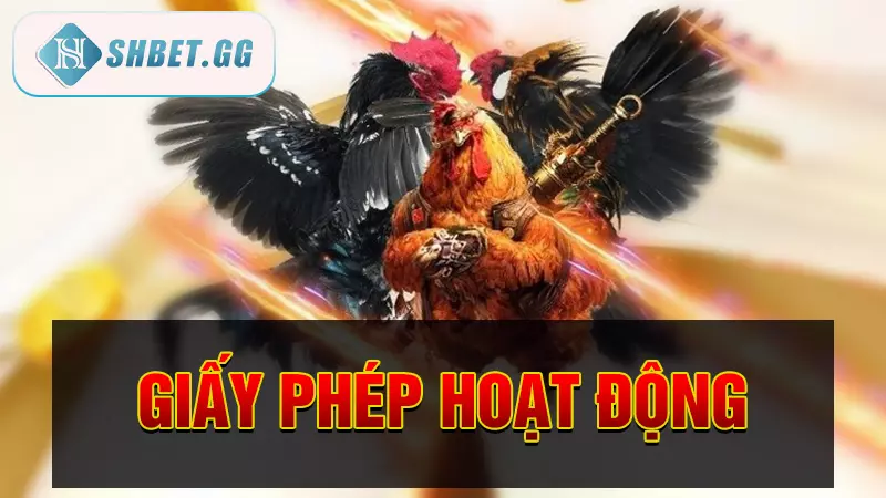Nhà cái đá gà sv388 - Sân chơi đá gà trực tiếp uy tín 4 Giấy phép hoạt động