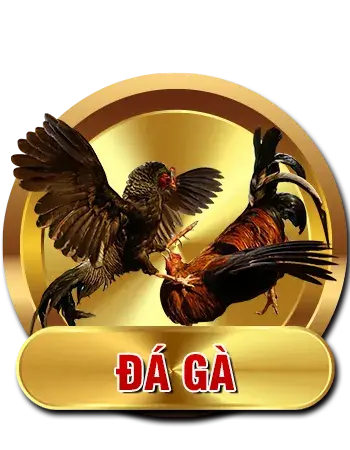 SHBET - Trang Chính Thức Của SHBET.COM | Casino Uy Tín #1 2026 7 cock